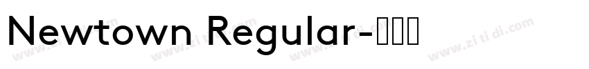Newtown Regular字体转换